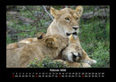 Welt der Tiere Fotokalender 2026 - 2