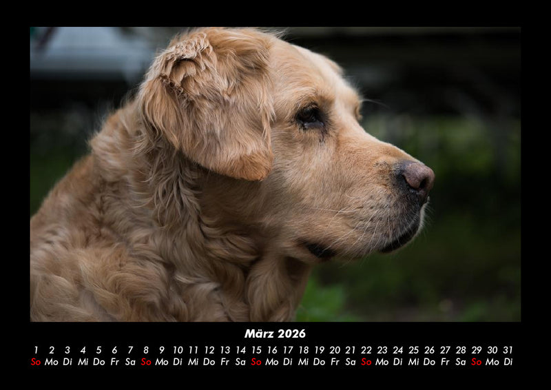 Welt der Tiere Fotokalender 2026 - 3