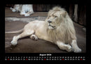 Welt der Tiere Fotokalender 2026 - 8
