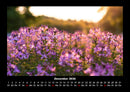 Blumenträume Fotokalender 2026 - 12