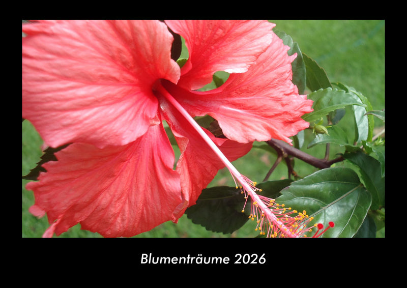 Blumenträume Fotokalender 2026 - Hauptbild