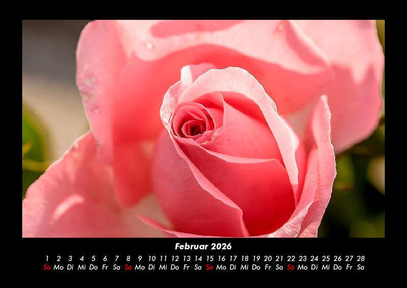Blumenträume Fotokalender 2026 - 2