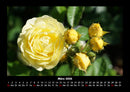 Blumenträume Fotokalender 2026 - 3