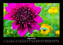 Blumenträume Fotokalender 2026 - 8
