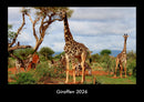 Giraffen Fotokalender 2026 - Hauptbild