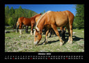 Pferdegeflüster Fotokalender 2026 - 10