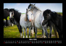 Pferdegeflüster Fotokalender 2026 - 3