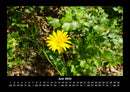 Naturlandschaften Fotokalender 2026 - 6