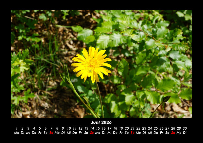 Naturlandschaften Fotokalender 2026 - 6