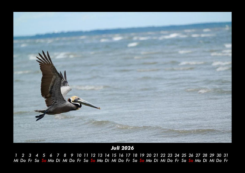 Naturlandschaften Fotokalender 2026 - 7