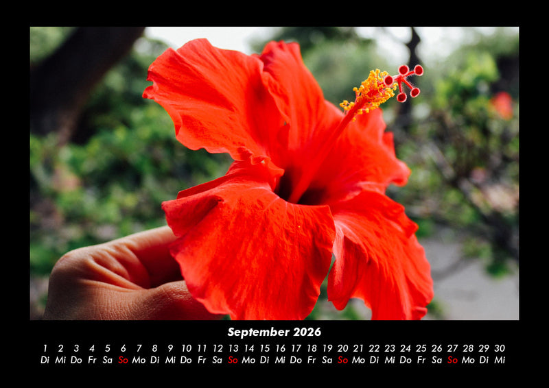 Blumenträume Fotokalender 2026 - 9