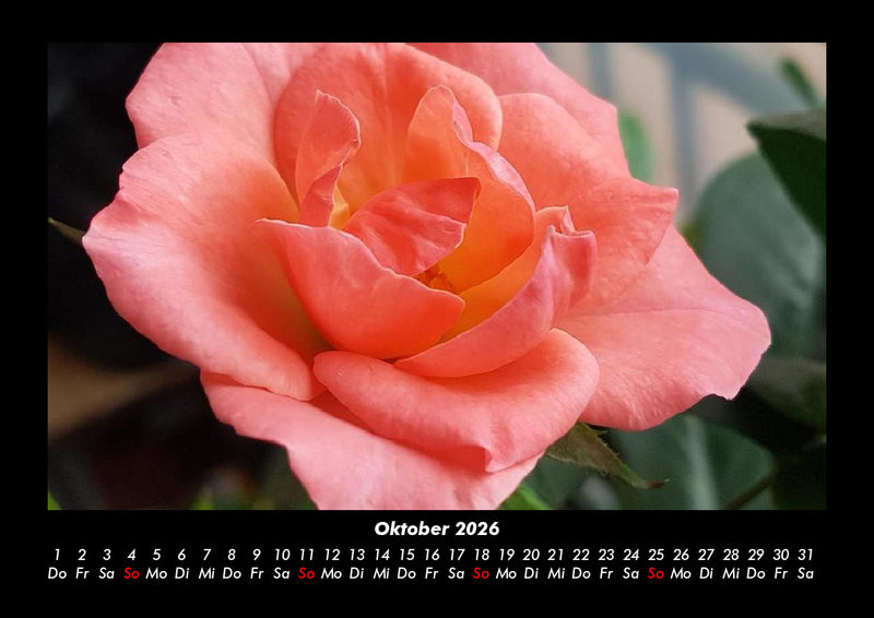Blumenträume Fotokalender 2026 - 10