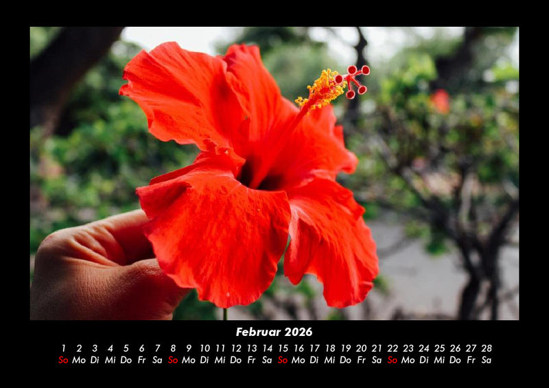 Blumenträume Fotokalender 2026 - 2