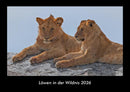 Löwen in der Wildnis Fotokalender 2026 - Hauptbild
