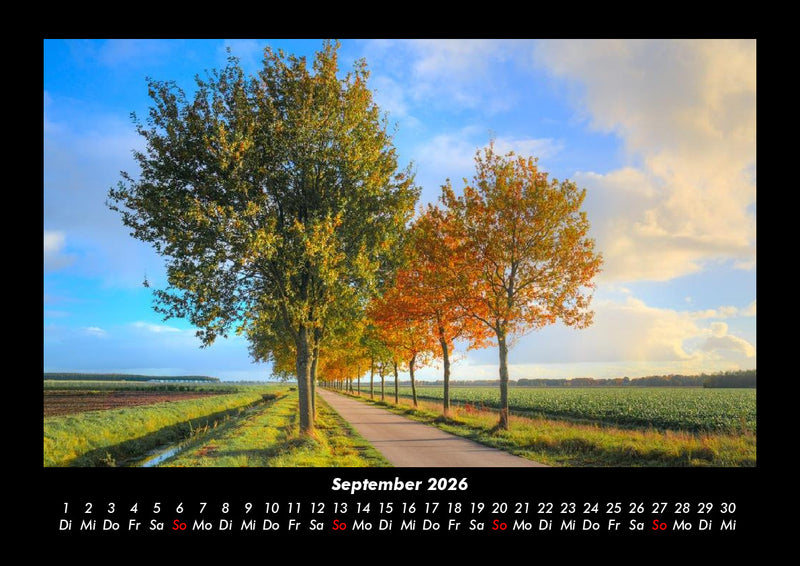 Bäume Fotokalender 2026 - 9