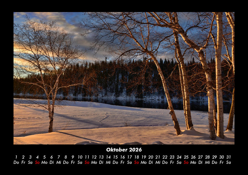 Bäume Fotokalender 2026 - 10
