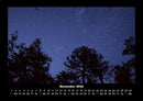 Bäume Fotokalender 2026 - 11