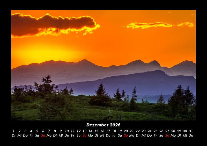 Bäume Fotokalender 2026 - 12