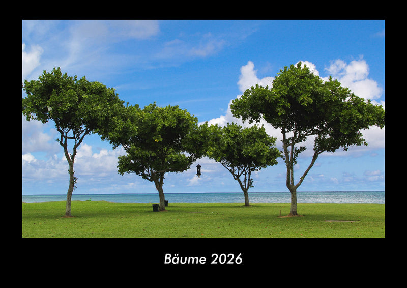 Bäume Fotokalender 2026 - Hauptbild