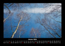 Bäume Fotokalender 2026 - 1