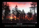 Bäume Fotokalender 2026 - 2