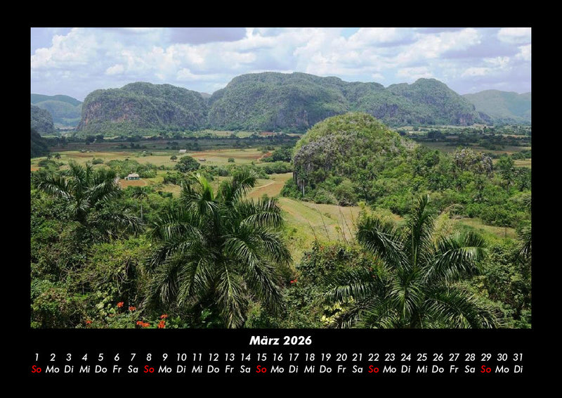 Bäume Fotokalender 2026 - 3