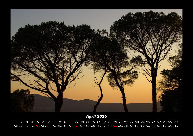 Bäume Fotokalender 2026 - 4