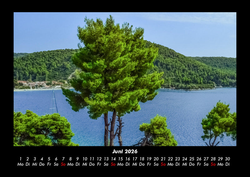 Bäume Fotokalender 2026 - 6