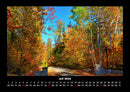 Bäume Fotokalender 2026 - 7