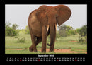 Elefanten - Die sanften Riesen Afrikas Fotokalender 2026 - 9