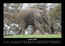 Elefanten - Die sanften Riesen Afrikas Fotokalender 2026 - 1