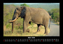 Elefanten - Die sanften Riesen Afrikas Fotokalender 2026 - 3