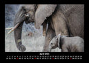 Elefanten - Die sanften Riesen Afrikas Fotokalender 2026 - 4