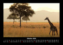 Giraffen Fotokalender 2026 - 10