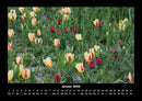 Blumenkalender Fotokalender 2026 - 1
