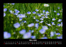 Blumenkalender Fotokalender 2026 - 3