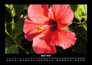 Blumenkalender Fotokalender 2026 - 4