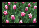 Blumenkalender Fotokalender 2026 - 5