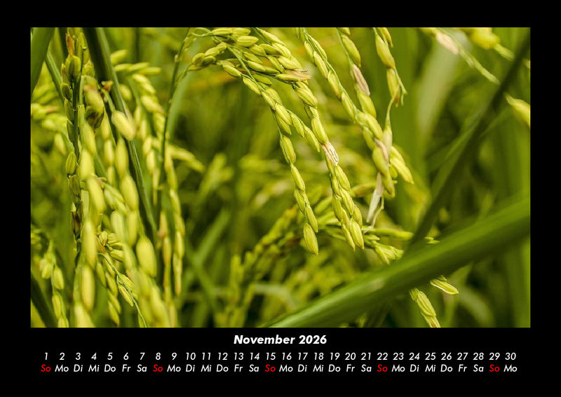 Bilder aus der Natur Fotokalender 2026 - 11