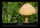 Bilder aus der Natur Fotokalender 2026 - 8