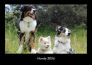 Hunde Fotokalender 2026 - Hauptbild