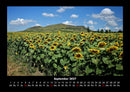 Pflanzen und Blüten Fotokalender 2027 - 9