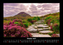Pflanzen und Blüten Fotokalender 2027 - 10