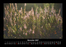 Pflanzen und Blüten Fotokalender 2027 - 11