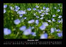 Pflanzen und Blüten Fotokalender 2027 - 12