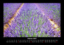 Pflanzen und Blüten Fotokalender 2027 - 2