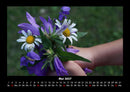 Pflanzen und Blüten Fotokalender 2027 - 5