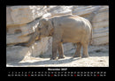 Der Elefantenkalender Fotokalender 2027 - 11