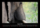 Der Elefantenkalender Fotokalender 2027 - 8