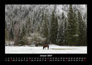 Die Welt der Pferde Fotokalender 2027 - 1